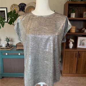 Dantelle Shimmering Silver Short Sleeve Top